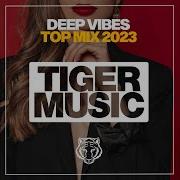 Faster Deeper Gareth Souza