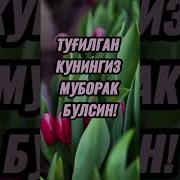 Чиройли Сузлар Табриклар Скачать