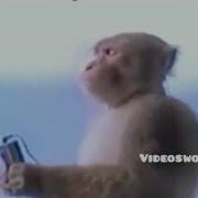 На Твой Телефон Пришло Новое Сообщение Оригинал Песня