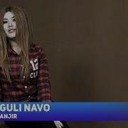 Guli Navo Anjir Гули Наво Анжир