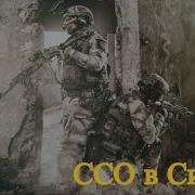 Ссо В Сирии Special Operations Forces In Syria