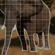 House Paul Mauriat Alouette X Mode Remix В Мире Животных Animals