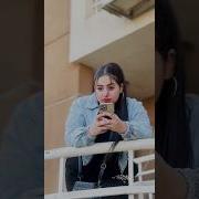 اغنيه عيني جات علي سنيوره
