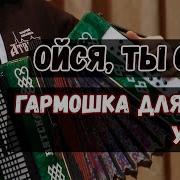 Ойся Ты Ойся На Гармони