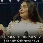 Ah Menem Bir Menem
