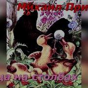 Курица На Столбах