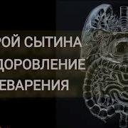 Настрой Сытина Для Пищеварения