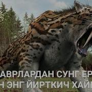 Ер Юзидан Йуколиб Кетган Хайвонлар Буни Албатта Куринг