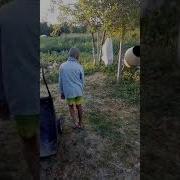 Мешок Пидорас