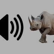 Rhino Sound Effectts
