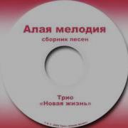 Христианская Музыка Трио Новая Жизнь Долго Скитался Я Христианские