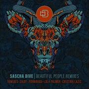 Dub Chronicles 5 Dilby Remix Sascha Dive