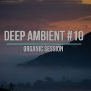 Deep Ambient Version Organic Ambient