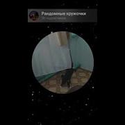 Бля Че Ж Делать Чеж Делать