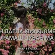 Дала Декъал Йойла Хьо Малика