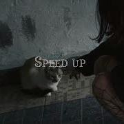 Я Твое Зеркало Speed Up