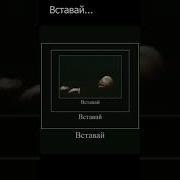 Вставай Вставай Вставай Мем