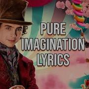 Pure Imagination Lyrics From Wonka Timothée Chalamet Prysim