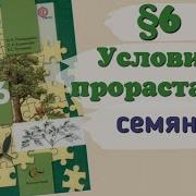 Биология 6 Класс 6 Параграф