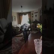 Попугай Жора Поёт Разные Песни