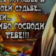 На То Тебя Бог Благословил