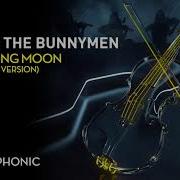 Echo Amp The Bunnymen The Killing Moon Symphonic Version