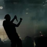 Грибы Воздух Как Воздушный Шар Live Bud Arena