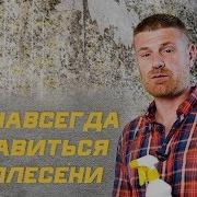 Желтым Ковром Вся Покрыта Земля