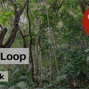 Señor Loop Astrodek