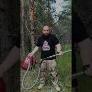 Зачем Я Беру С Собой В Лес Пылесос
