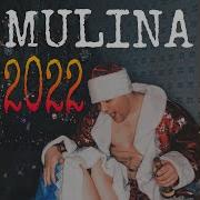 Mulina Все Песни