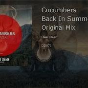 Back In Summer Cucumbers