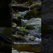 Soundstream Serenity