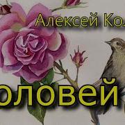 Алексей Кольцов Стихотворение Соловей