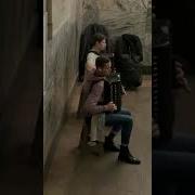Скрипка Играет На Гармошке