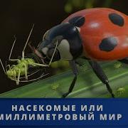Симбиоз Невозможного 2Я