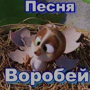 Песенка Про Воробья