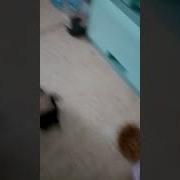 Вахрамей Бан Тебе