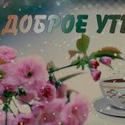 Красивые Песни Обо Всём Жизнь Прекрасна Доброе Утро