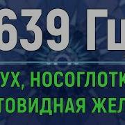 Тибетские Поющие Чаши 639 Герц