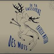 Je Te Laisserai Des Mots