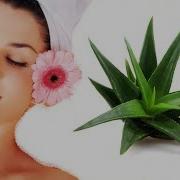 1 Кунда Ажинлардан Халос Булинг
