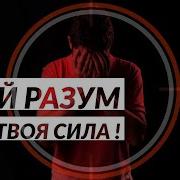 Твой Разум