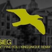 Dan Sieg They Won T Find You King Unique Remix