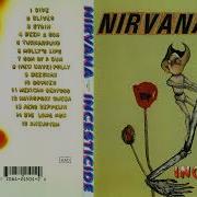Nirvana New Wave Polly Backing Track
