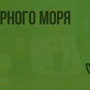 У Черного Моря Окружающий Мир 4 Класс