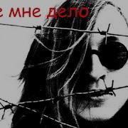 Какое Мне Дело Egor Letov