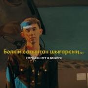 Сагынган Шыгарсын Текс
