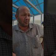 Бобой Алик Дар Бораи Духтаро