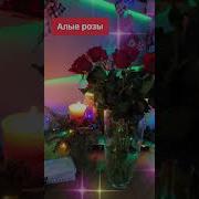 Песни На Магнитофоне